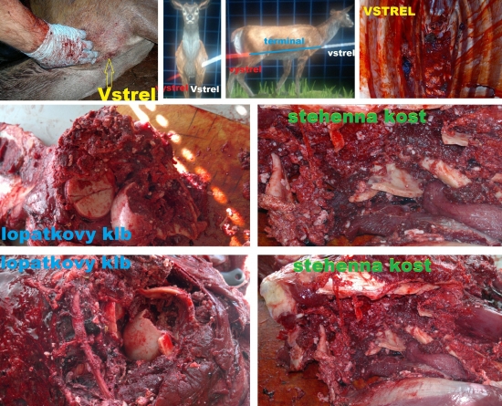 Norma Swift A-Frame 30-06
