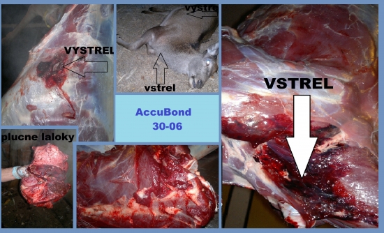 Norma AccuBond 30-06