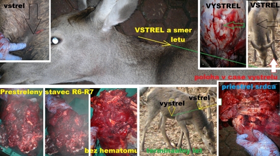 Norma AccuBond 30-06