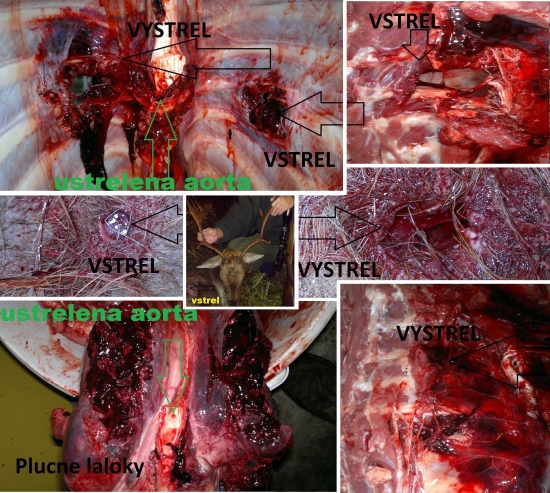 Norma AccuBond 30-06