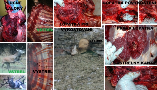 Norma AccuBond 30-06