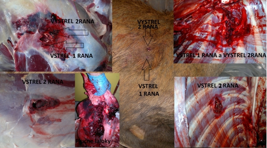 Sako Hammerhead 7x65R