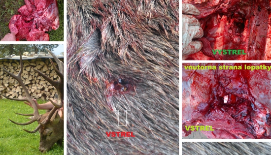 Norma AccuBond 30-06