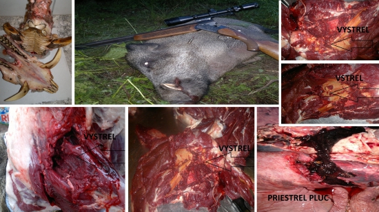 Norma AccuBond 30-06