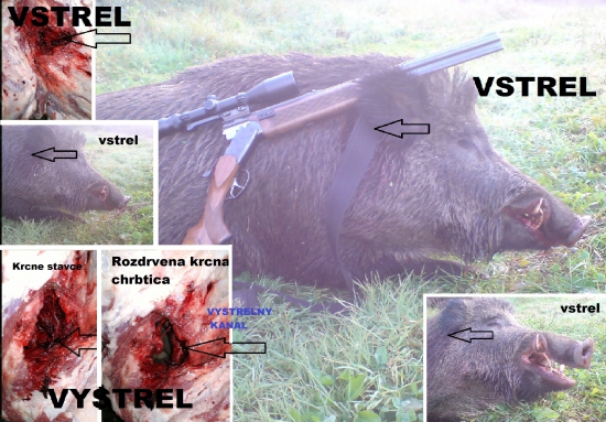 Norma AccuBond 30-06