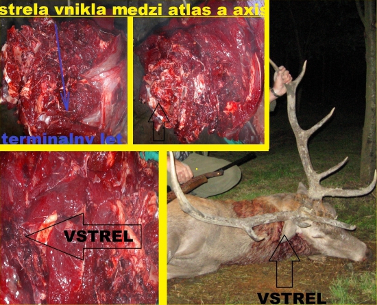 Norma Swift A-frame 300WM