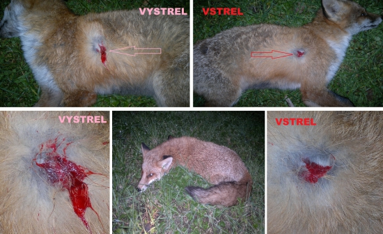 Norma Swift A-frame 30-06