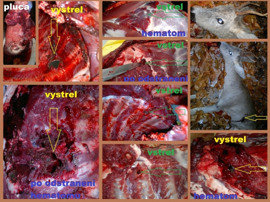 Barnes TSX 55g -223r