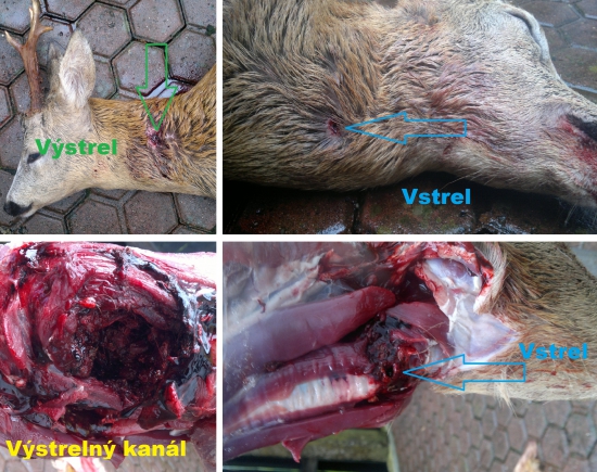 Barnes TSX - 223 rem.