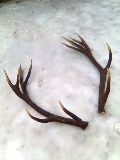 zhody s čias davnych