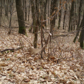 takto na mňa čakal