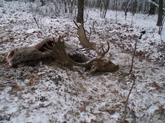 dneskajšie prekvapenie