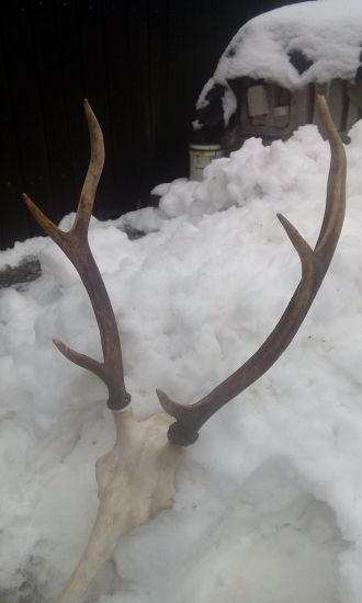 minulorocny mladik uz je na lebke