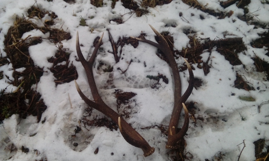 konečne sa čerstvé zadarili