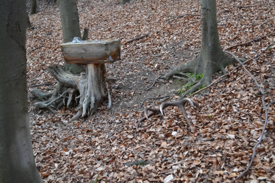 ...soľ nad zlatom...