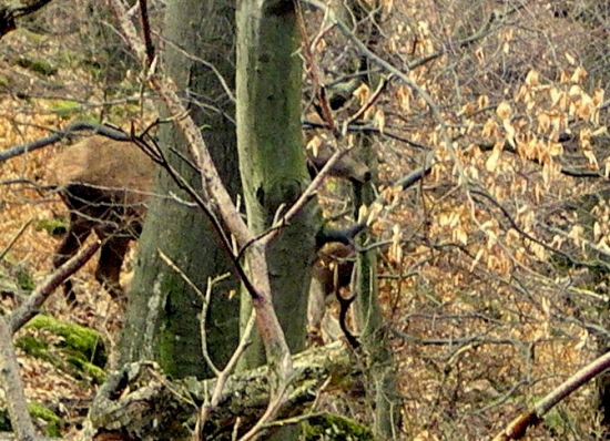 Zhodil ho pred sekundou.