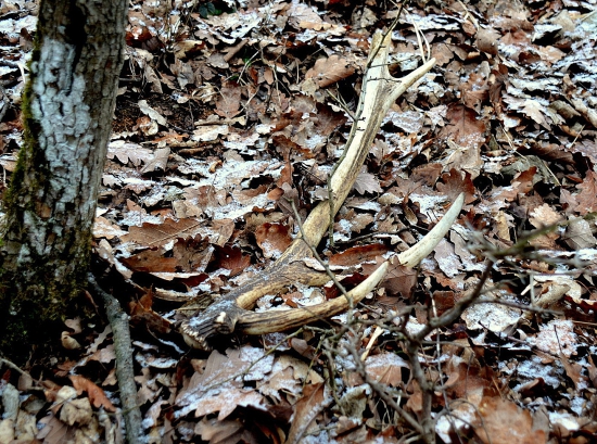 Príjemné prekvapenie.