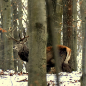 Zhodil ich pre gaspo81