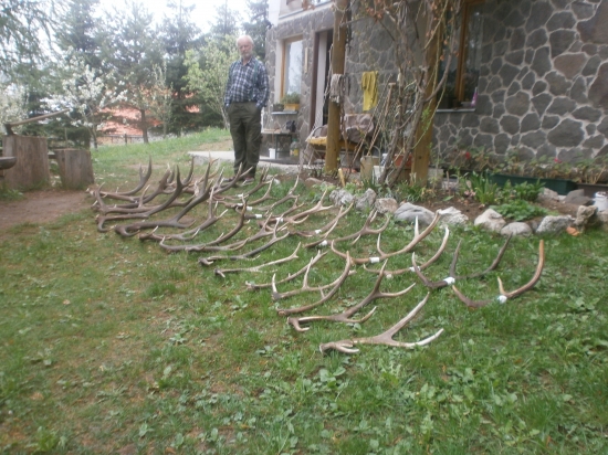 moje úlovky tohto roku