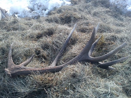 Je to o veľkom šťasti najsť niečo tak nádherne.