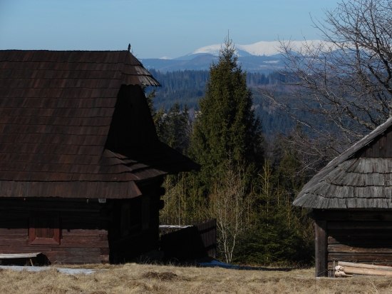 Aj takéto môže byť zátišie