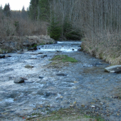 Vodný svet