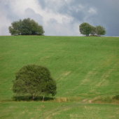 Stromová