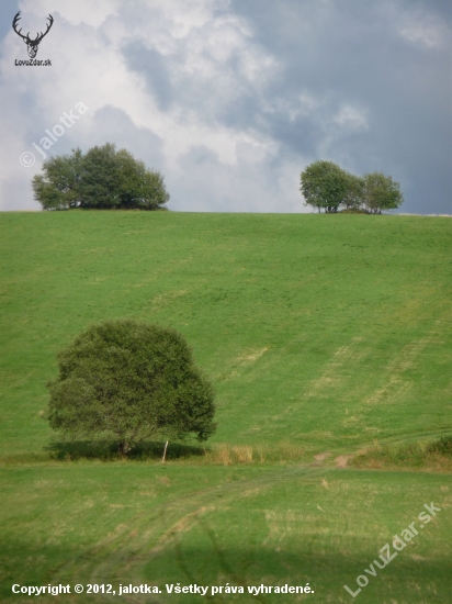 Stromová