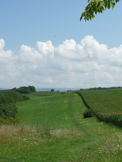 Biela-modrá-zelená