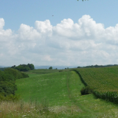 Biela-modrá-zelená