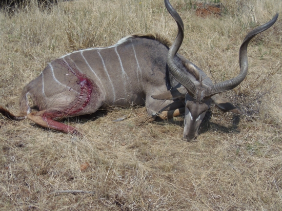 Poľovačka Namíbia
