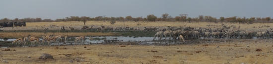 panoráma afriky
