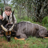 nyala