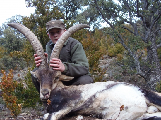 španielsky krásavec