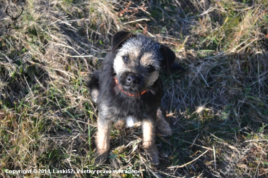 Eddie ( Iason Hanter Krisbark)