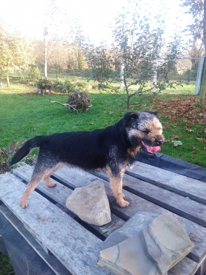 Dnes nás Eddie opustil :(