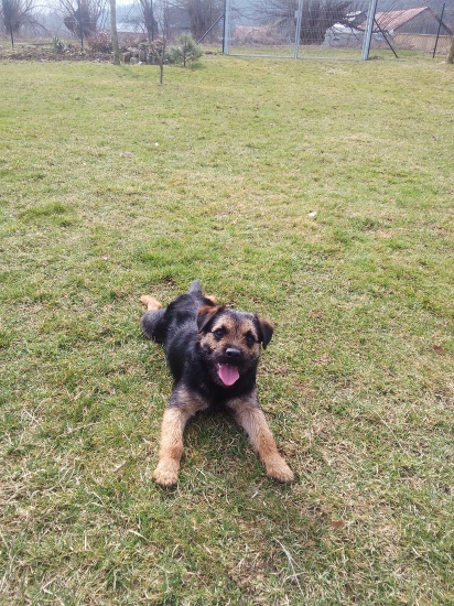 Oddych po krátkom tréningu.