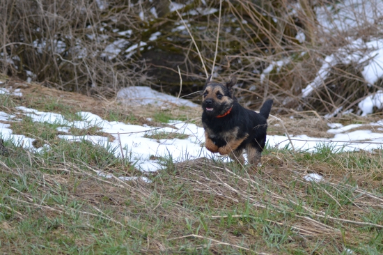 Z jarnej prechádzky