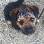 Benny