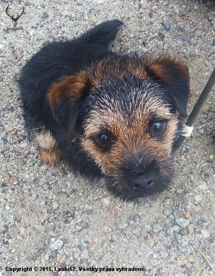 Benny