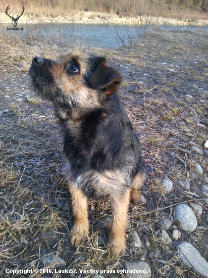 Benny
