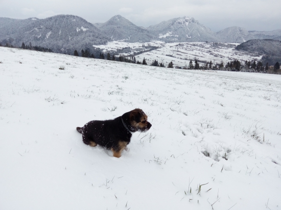 Veľkonočná nádielka