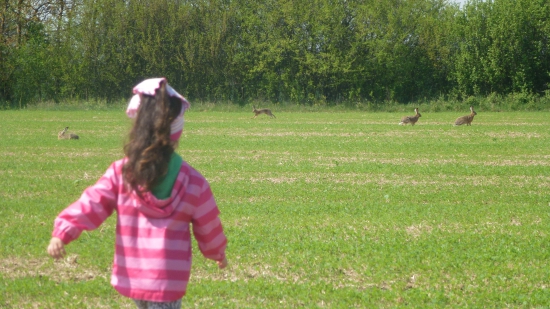 Mala prechadzka,spoznavanie prirody.