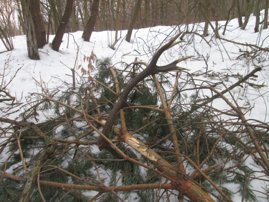 konečne sa zadarilo