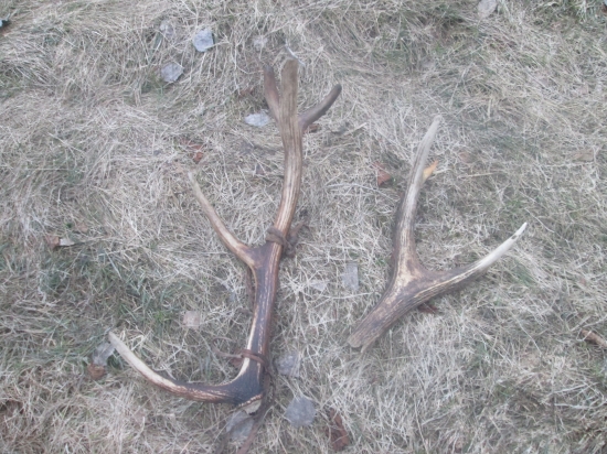 dnes poobede na vychádzke