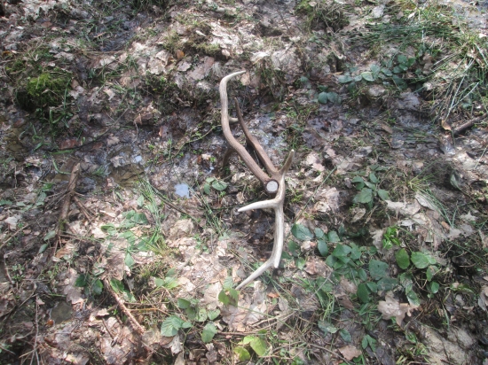 takto som ich našiel