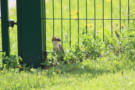 co by som si este dala?