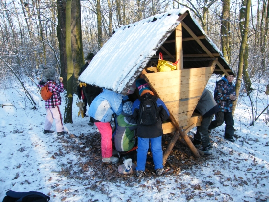 Poštolky byly zakrmit