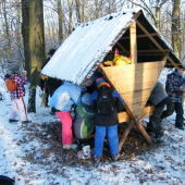 Poštolky byly zakrmit