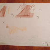 Obrázek naší nejmenší poštolky